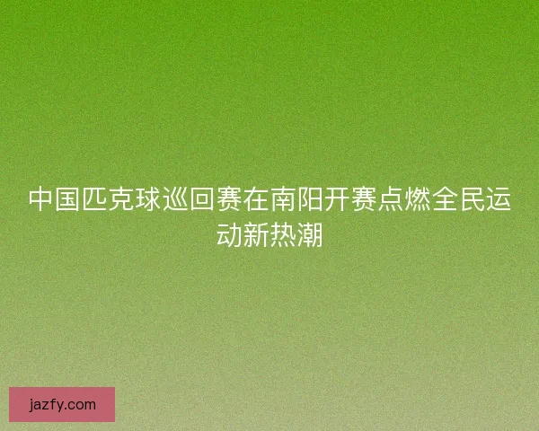 中国匹克球巡回赛在南阳开赛点燃全民运动新热潮